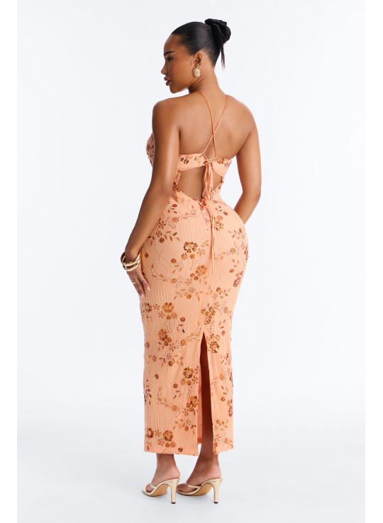 Сітчаста Сукня Максі 'Josephine' з Декором