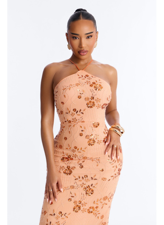 Сітчаста Сукня Максі 'Josephine' з Декором